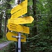 Dem schwarzen und roten Weg folgt man zunächst noch gemeinsam bis zu einer Verzweigung. An dieser dann nach rechts. 