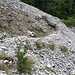 Schottrige Querung auf dem schwarzen Weg. 