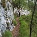 Der schöne, ausgesetzte Steig im Aufstieg. 