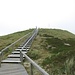Die Stufen hinauf zum Ellenbogenberg sind weniger steil als die zur Uwe-Düne
