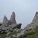 Schlussanstieg auf den Pierre Avoi (2473 m)[