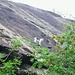Un gatto montanaro su una delle rocce del parco.