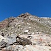 Mineral Peak Gipfelgrat (oben II)