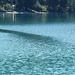 Ein windstiller Strich im See.