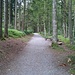 Waldstück zwischen Waldegg und Hüslersegg.