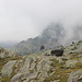 Im Aufstieg zwischen La Molinassa und Refugi de Baiau - Auf ca. 2.330 m Höhe schlängelt sich unser Weg (rechts) über eine kleine Felsstufe.