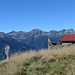 Alpe Domas