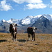 Idyll Haute Maurienne:<br />Im Hintergrund Pointes du Chatelard (3479m)