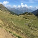 Sul sentiero nei pressi dell'Alpe Bondolero