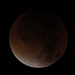 Mondfinsternis / Eclissi lunare 28.09.2015 / 4.25 Uhr