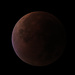 Mondfinsternis / Eclissi lunare 28.09.2015 / 5.07 Uhr