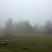 Kalter Nebel bis zum Gipfel
