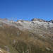 Kesch-Panorama von der Fuorcla Gualdauna