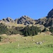 Blick von der Trogenalp auf weitere Alphütten auf Plangg