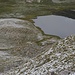 Schafherd unmittelbar beim Lago de Foses