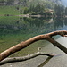 der Seealpsee - auch bei Nebel und Wolken sehr hübsch anzuschaun