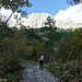 Unterwegs im Wolayertal zum Wolayersee