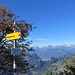 Schöne Aussicht am Ochsenstein Richtung Calanda, Ringelspitz und Pizol