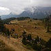 leider zieht Nebel (& Kälte) auf - hier Blick die Alp