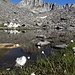 Bezaubernde Schwemmebenen inklusive Schafherde vor Pizzo Gallina