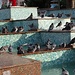 im Sultanahmet Park - scharen sich die Tauben um die Wasserbecken