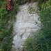 Zoom auf den Felsen der Süsswassermolasse I.