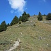 Steiler Abstieg vom Alpbüel