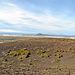 Blick nach Westen zum See Mývatn.