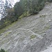 Die längste der Abrutschquerungen im Aufstieg zum Schneeplatz (Rückblick)