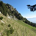 Der Aufstieg zur Alp Sess führt nach links hoch und beginnt unmittelbar vor den Felsen in Bildmitte.