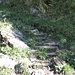 Gleich am Anfang des Aufstiegs zur Alp Sess findet man diese kurze Treppe aus Holz vor.