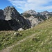 Blick von der Torscharte zur Steinkarlspitze; rechts Soienerspitze und Krapfenkarspitze. Unterhalb letzterer der helle Gipfelkörper der Rappenklammspitze
