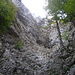 Jura - pur