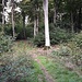 Auf dem Saar-Hunsrück-Steig