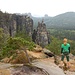 Brosinnadel im Vordergrund, Falkenstein im Hintergrund.