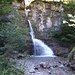 Der Wasserfall im Wald.