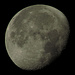 Der Mond, heute Morgen eiförmig und an der rechten Seite angeknabbert / la luna sta mattina in forma di uovo e sul lato a destra rosicchiata