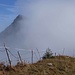 Gipfel kommt in den Nebel