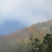 Durchstich durch die Nebeldecke - s'gibt kaum schönere Momente im Bergsteigerleben...