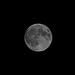 Ansicht vom Vollmond am Abend vor der totalen Mondfinsternis die sich dann in den Morgenstunden des darauf folgenden Tages ereignete.