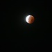 Halb- und Kernschatten der Mondfinsternis. Der Mondteil im Halbschatten ist auf dem Foto überbelichtet.