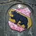 Die Erinnerungen eines Berner Bat. im ersten Weltkrieg