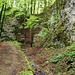 Abstieg im Spalenwald zwischen Wuesthöchi und Rüteli