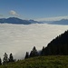 Der Thuner Nebelsee