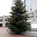 Weihnachtsbaum beim Bahnhof Brugg