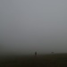 Mann, Kuh und Nebel....(zwischen Unterem und Oberen Grenchenberg)