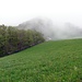 Nebel auf der Challhöchi