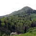 Der Roggenschnarz