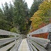 beachtlich steil - und beidseits luftig - führt die Holztreppe in den Herbstwald hinein