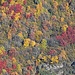 Herbstliche Wälder im Bleniotal